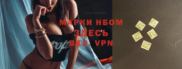 тгк Богородицк