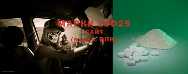 ECSTASY Богданович