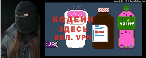 ECSTASY Богданович