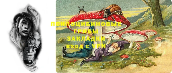 ECSTASY Богданович