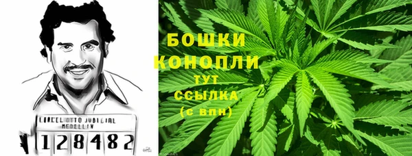 ECSTASY Богданович