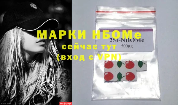 ECSTASY Богданович