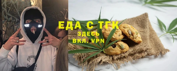 тгк Богородицк