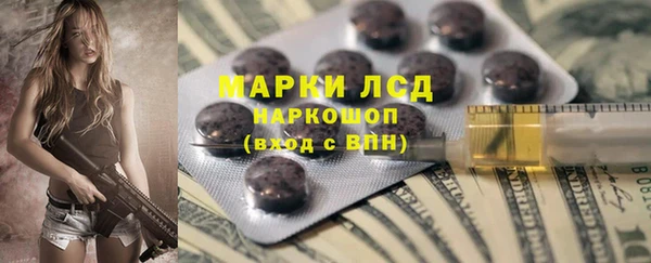 ECSTASY Богданович