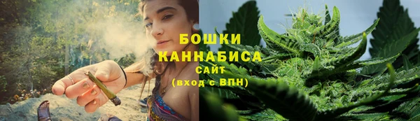 тгк Богородицк