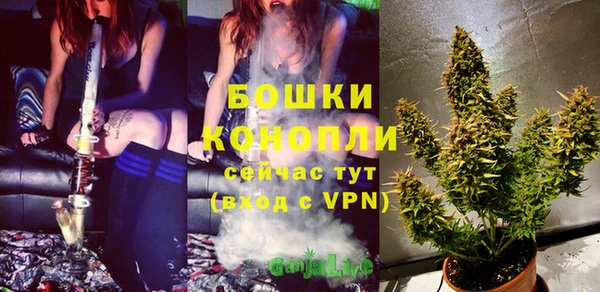 гашик Богородск
