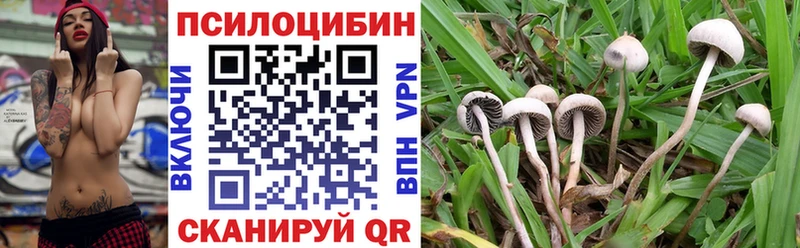 Псилоцибиновые грибы MAGIC MUSHROOMS как найти закладки Северск