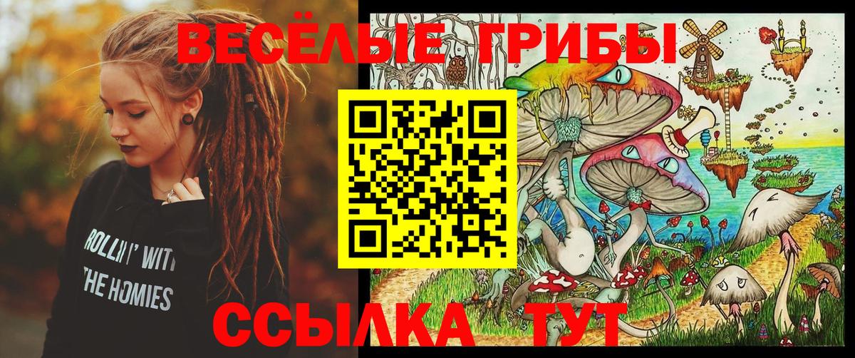 Северск  Псилоцибиновые грибы Cubensis  купить наркотик  Вход с VPN 