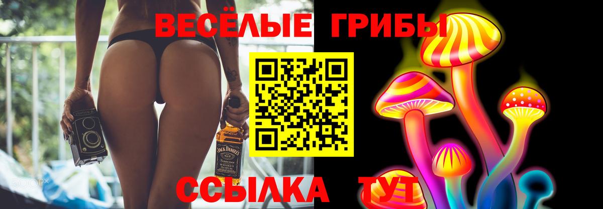Галлюциногенные грибы MAGIC MUSHROOMS Северск